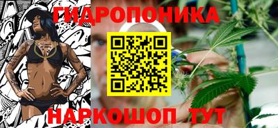 мяу мяу мука Гусь-Хрустальный