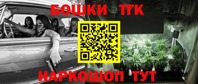 шишки Гусиноозёрск