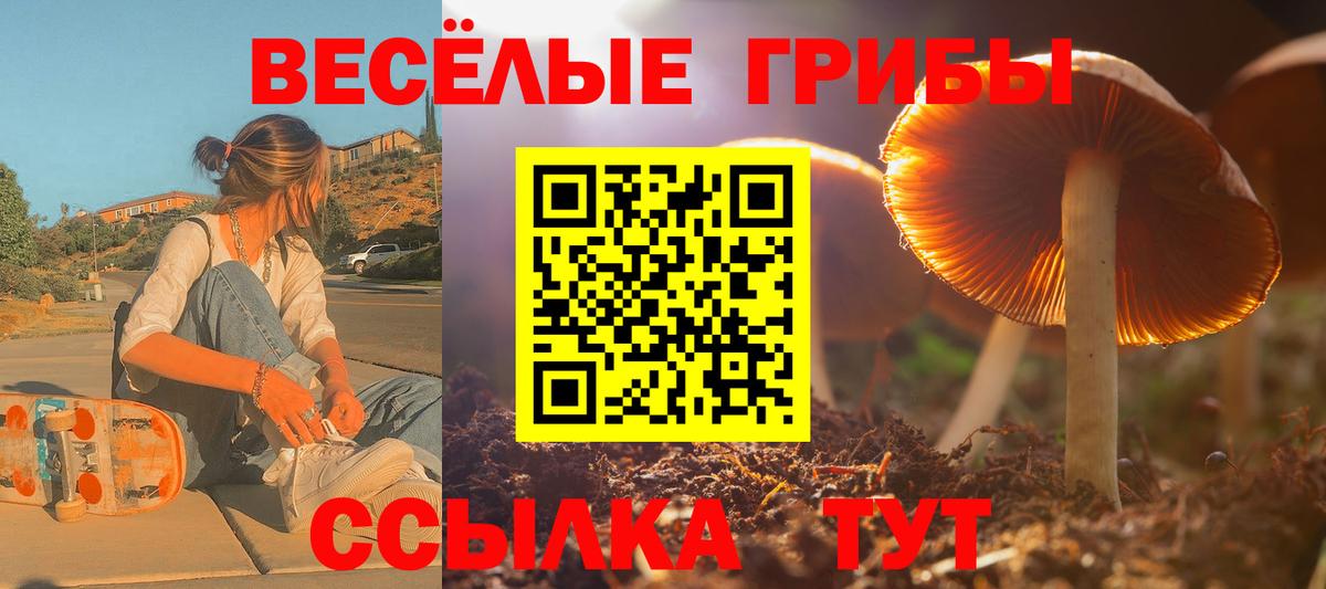 Нерюнгри  Галлюциногенные грибы Magic Shrooms  Вход с VPN 