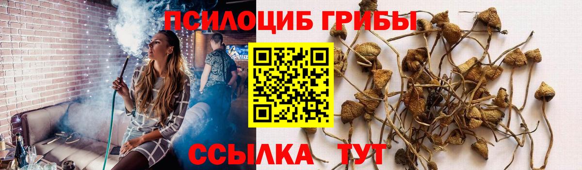Галлюциногенные грибы MAGIC MUSHROOMS Нерюнгри